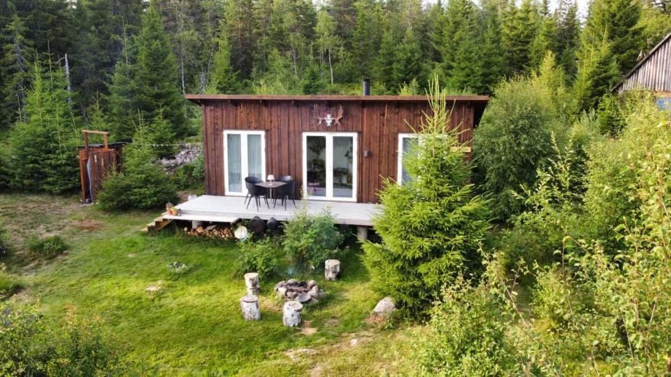 Cozy Forest Cabin With Amazing Mountain View Torsby Kültér fotó