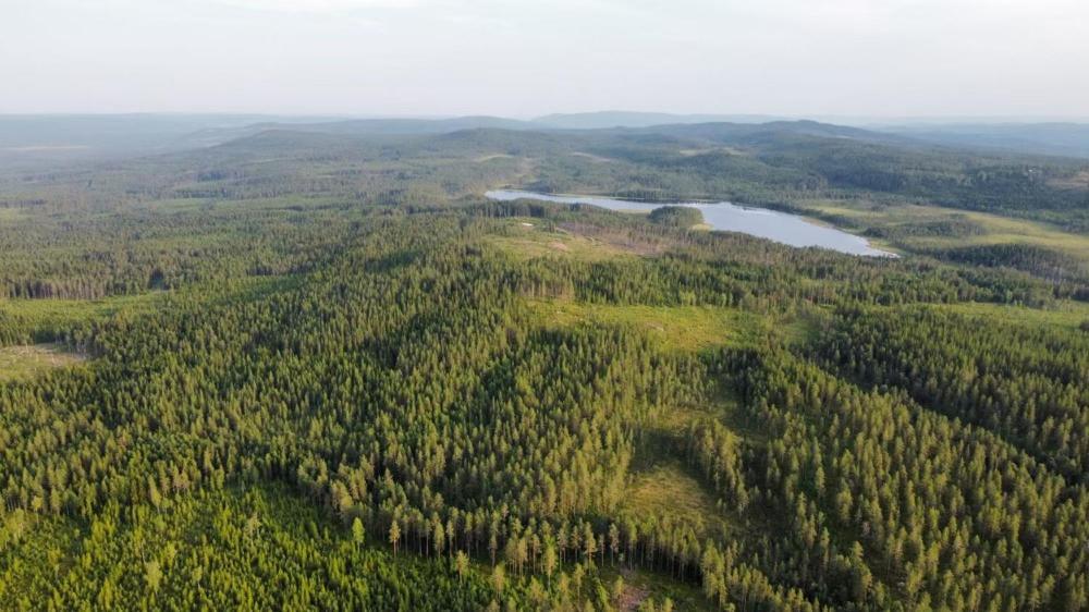 Cozy Forest Cabin With Amazing Mountain View Torsby Kültér fotó