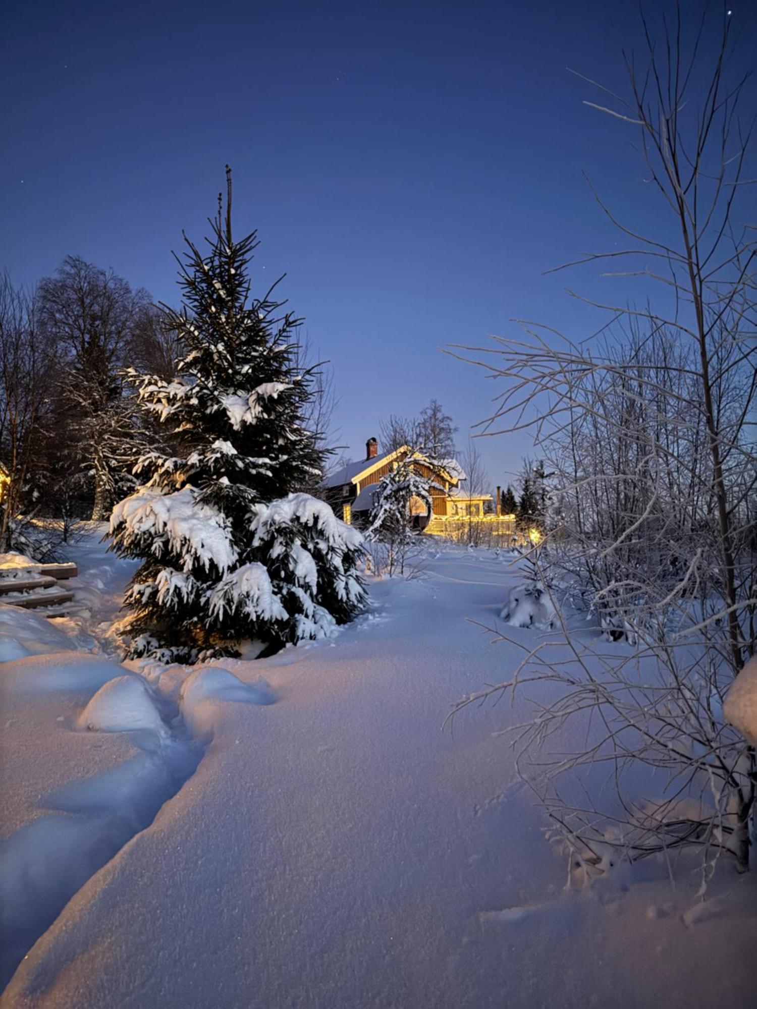 Cozy Forest Cabin With Amazing Mountain View Torsby Kültér fotó