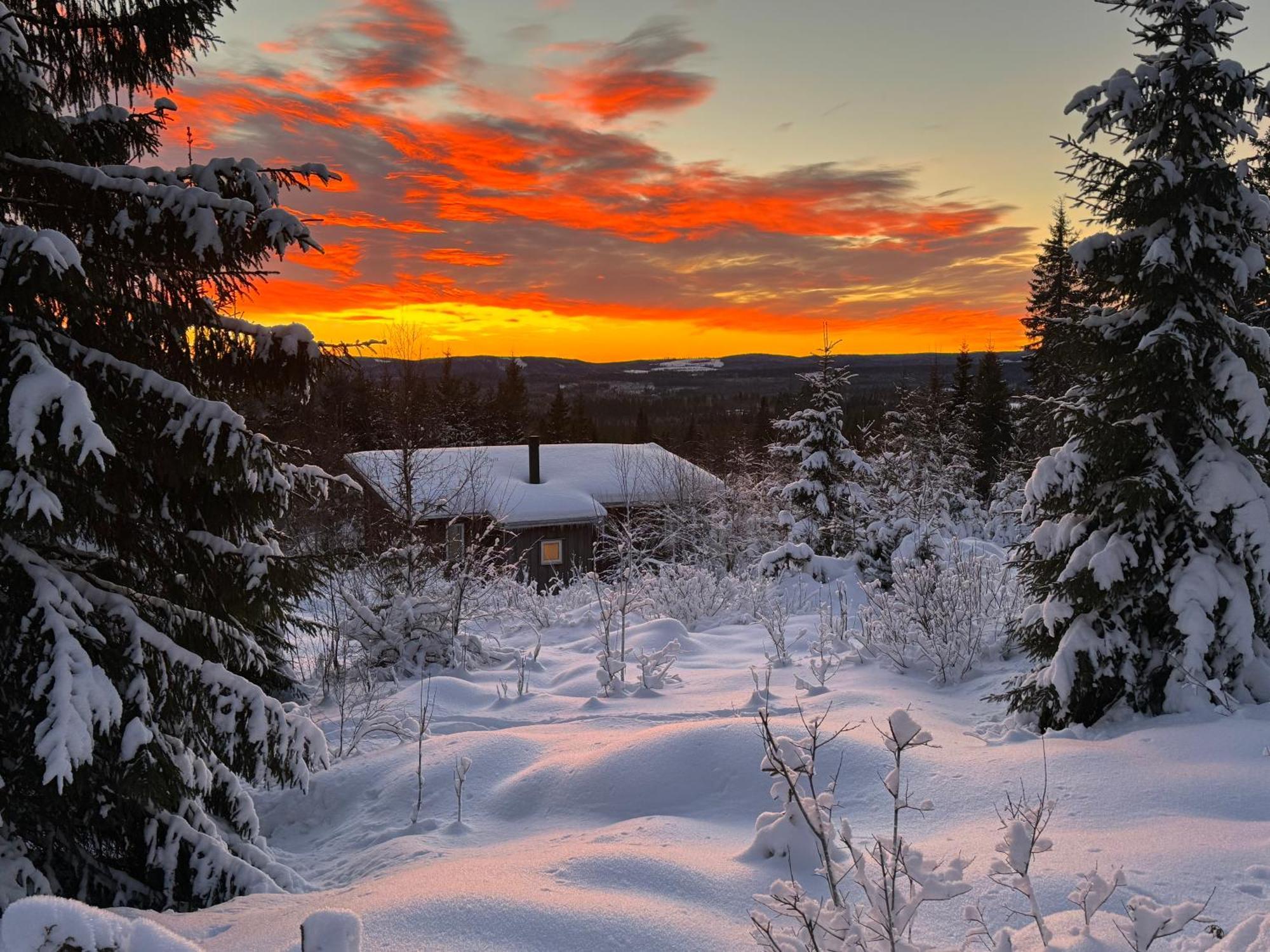 Cozy Forest Cabin With Amazing Mountain View Torsby Kültér fotó